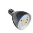 6W 500 Lumen LED