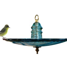 Bird Feeder