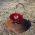 plough disk bird feeder bath