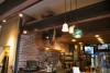 insulator light LED pendant