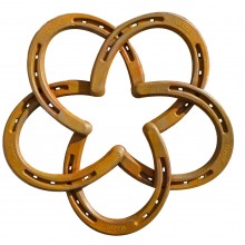 HORSESHOE STAR THUMBNAIL3