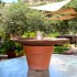 plow disk insulator bubbler fountain