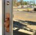 Railroad Anchor Door Handle on excutcheon