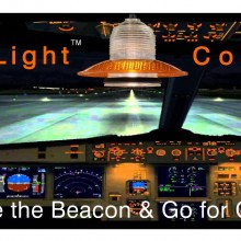 Runway Light Pendant™