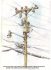 Telephone Pole