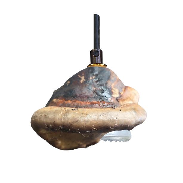 Tree conk insulator pendant 2 a