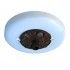 ceiling canopy with cast iron ring
