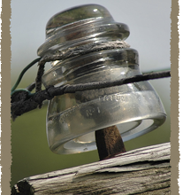 insulator-telephone-pole-thumb