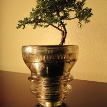 portfolio-gallery-091