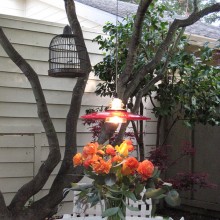 portfolio-gallery-113