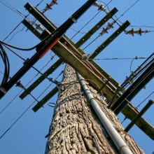 Ceramic Insulators on Telephone Pole