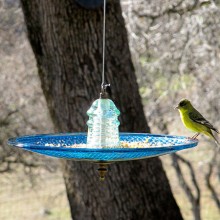 traffic-light-lens-birdbath-3
